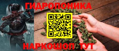 шишки Краснознаменск